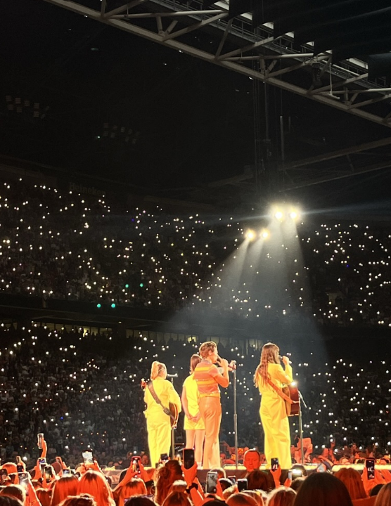 Harry styles in concert
